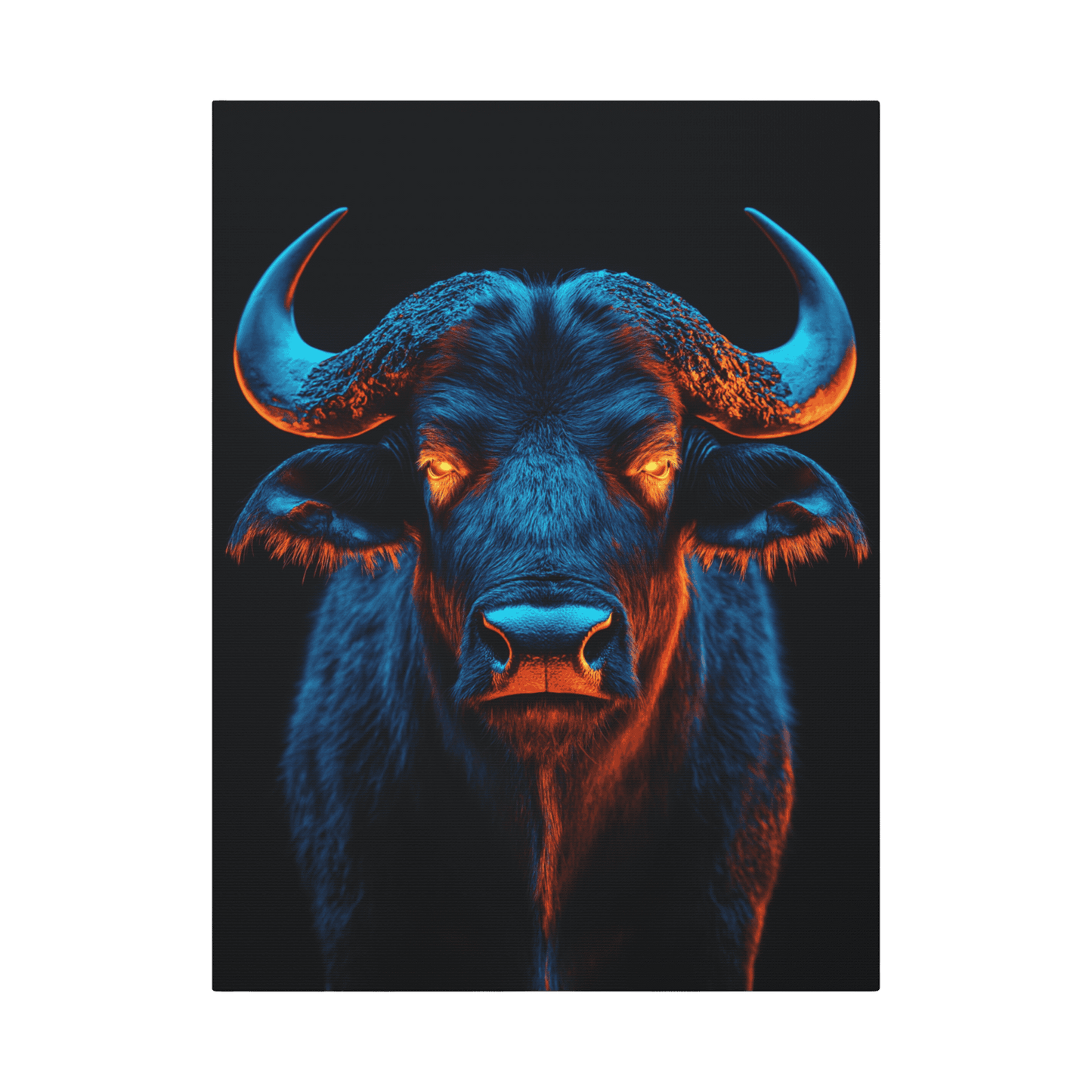 Safari - Cape Buffalo