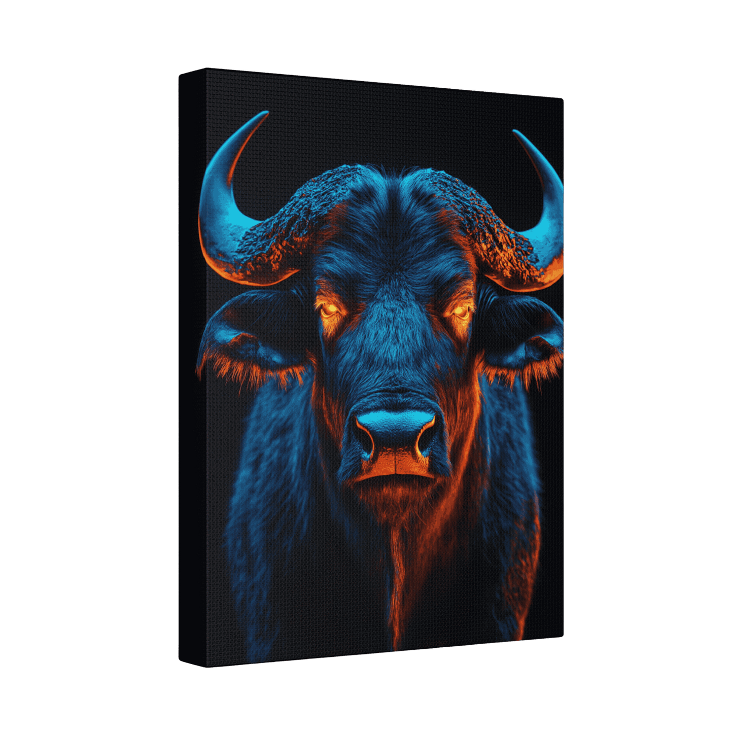 Safari - Cape Buffalo