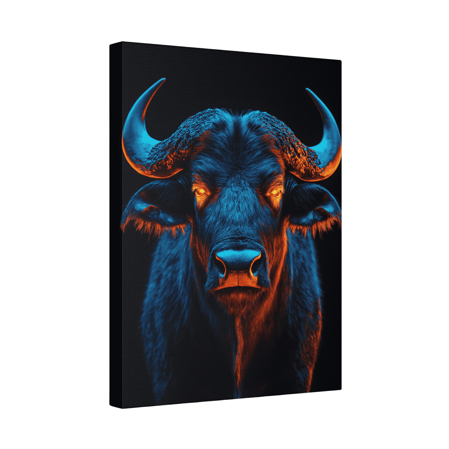 Safari - Cape Buffalo