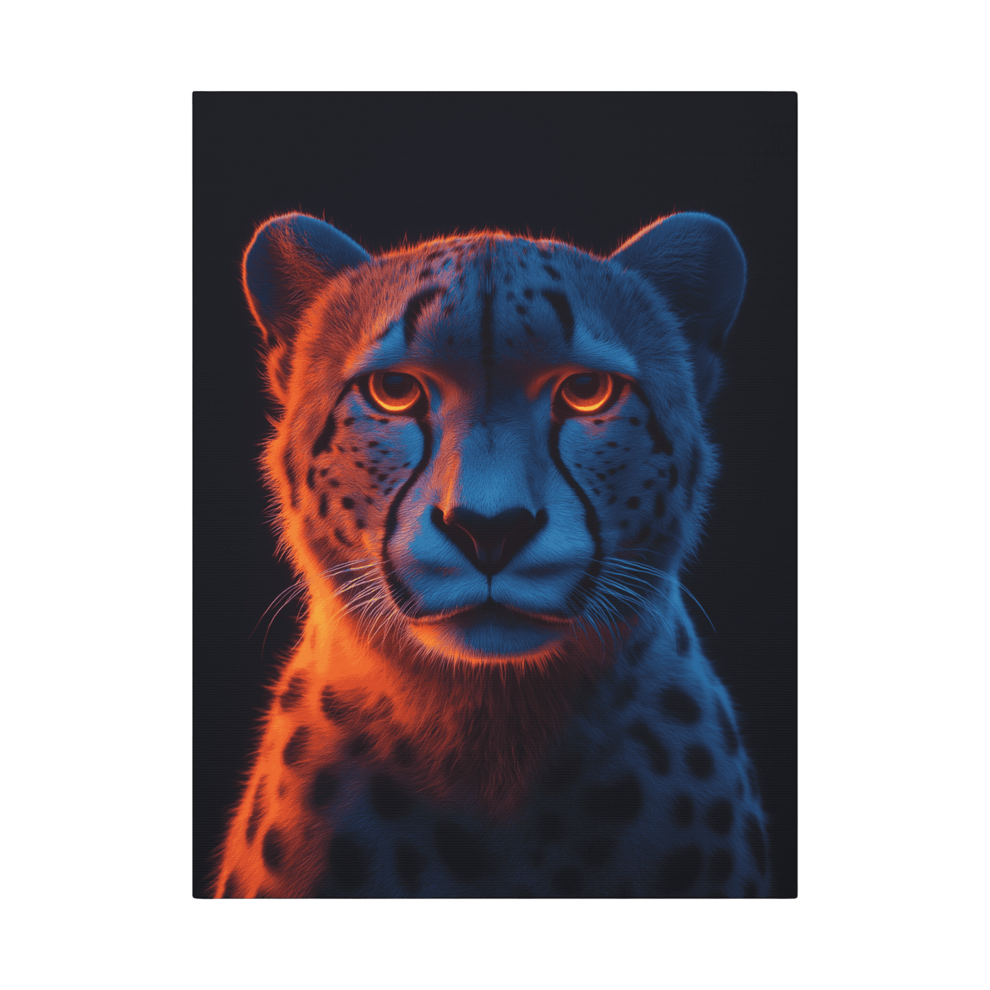 Safari - Cheetah