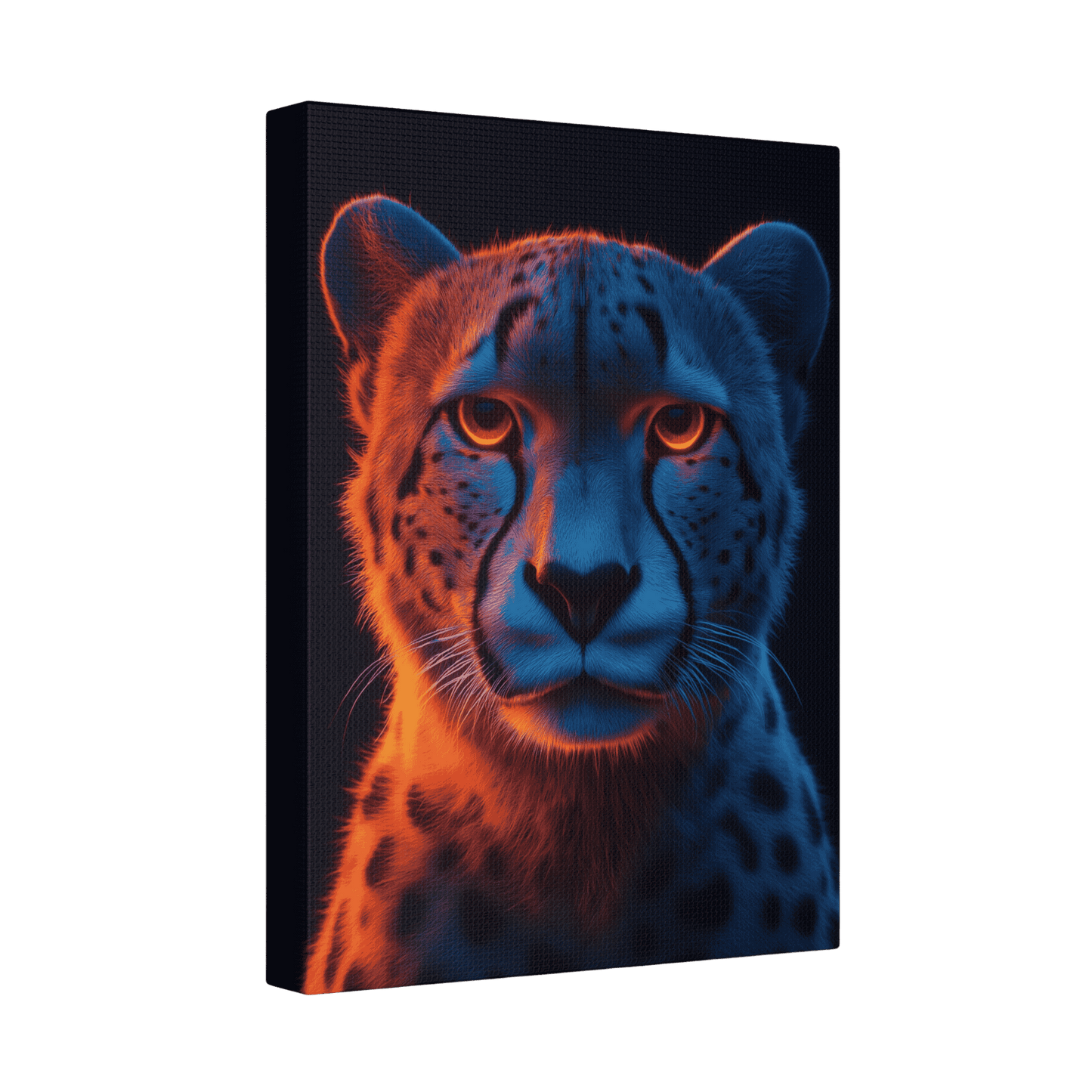 Safari - Cheetah
