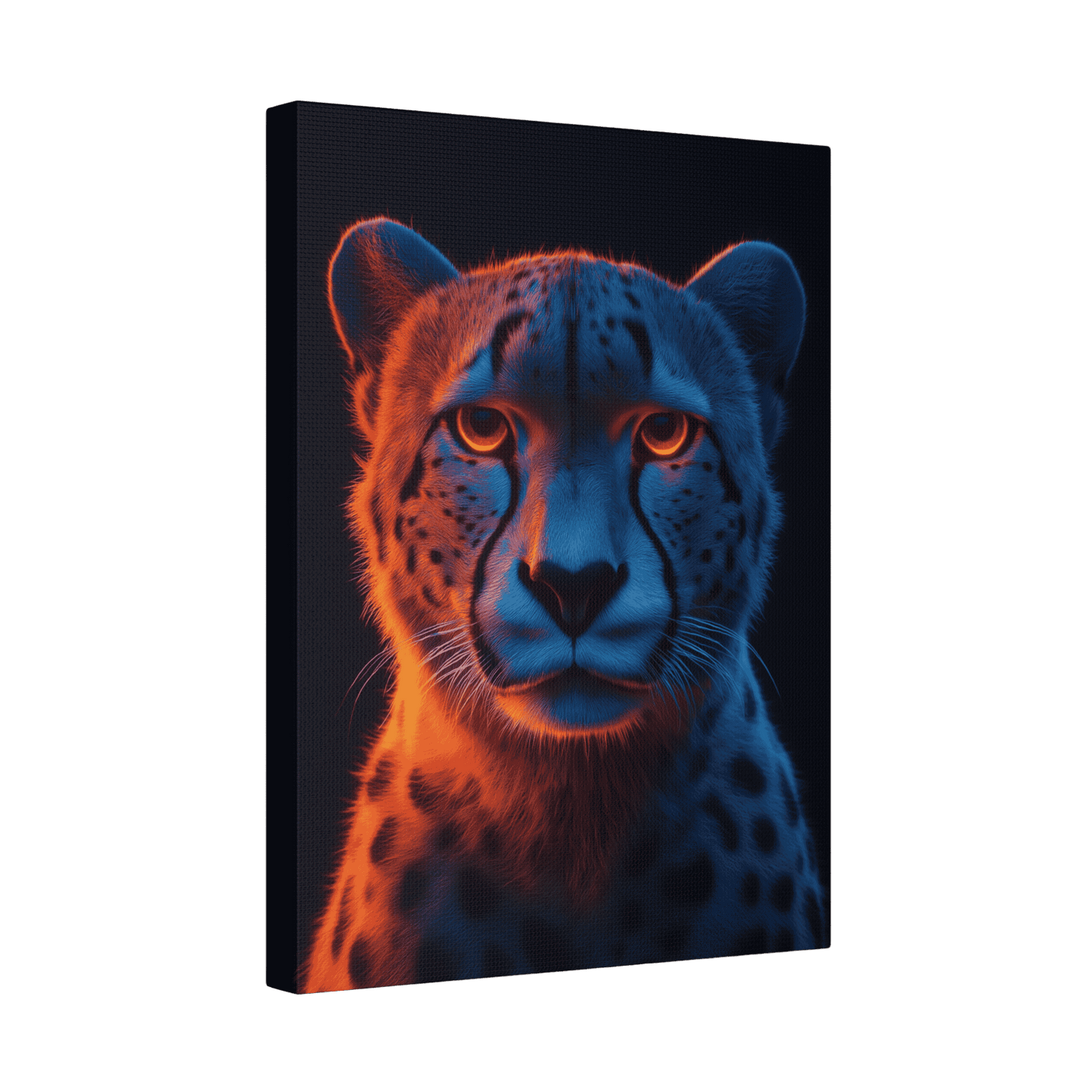 Safari - Cheetah