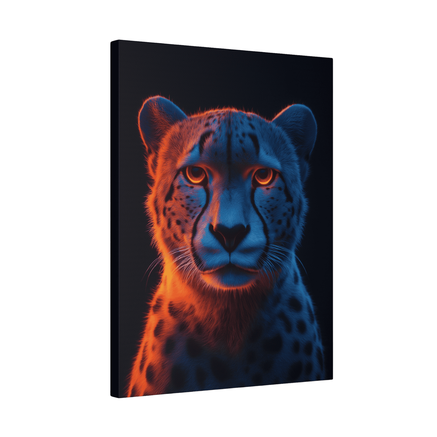 Safari - Cheetah