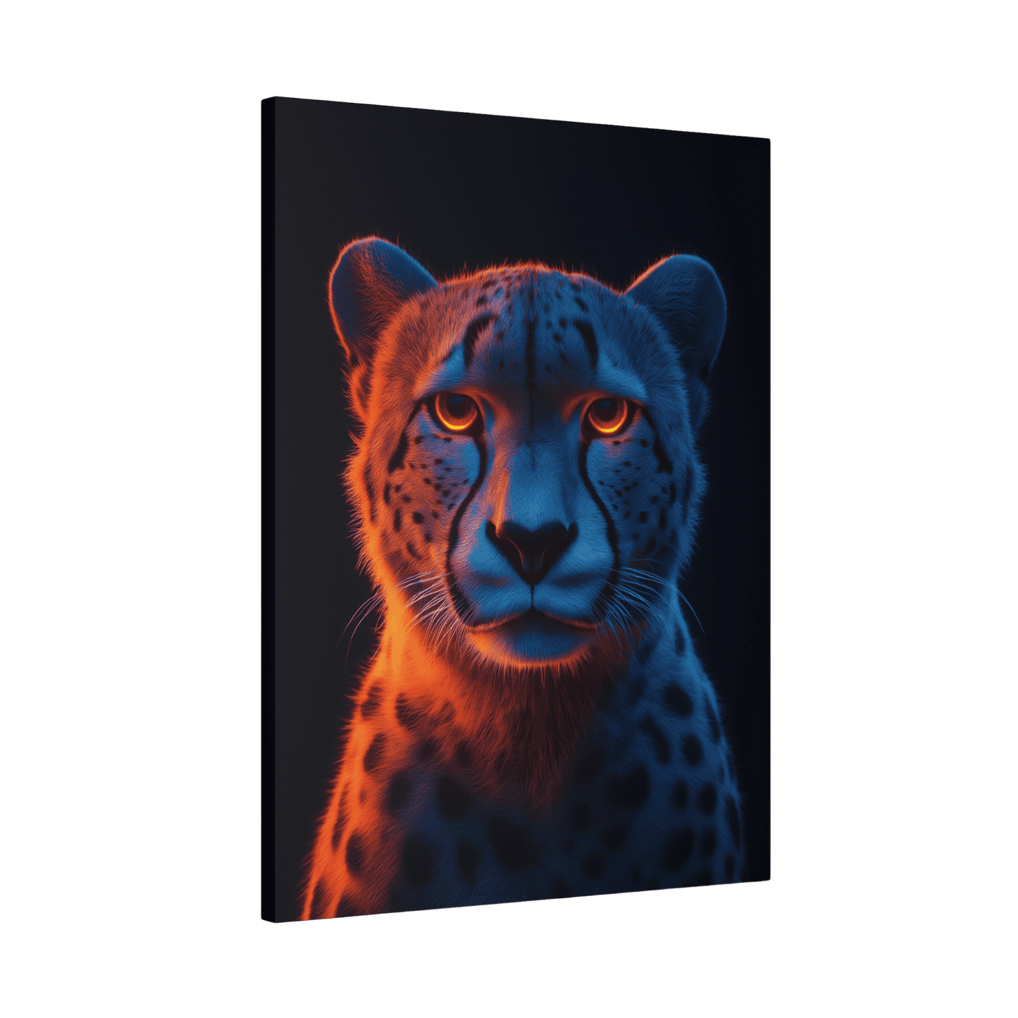 Safari - Cheetah