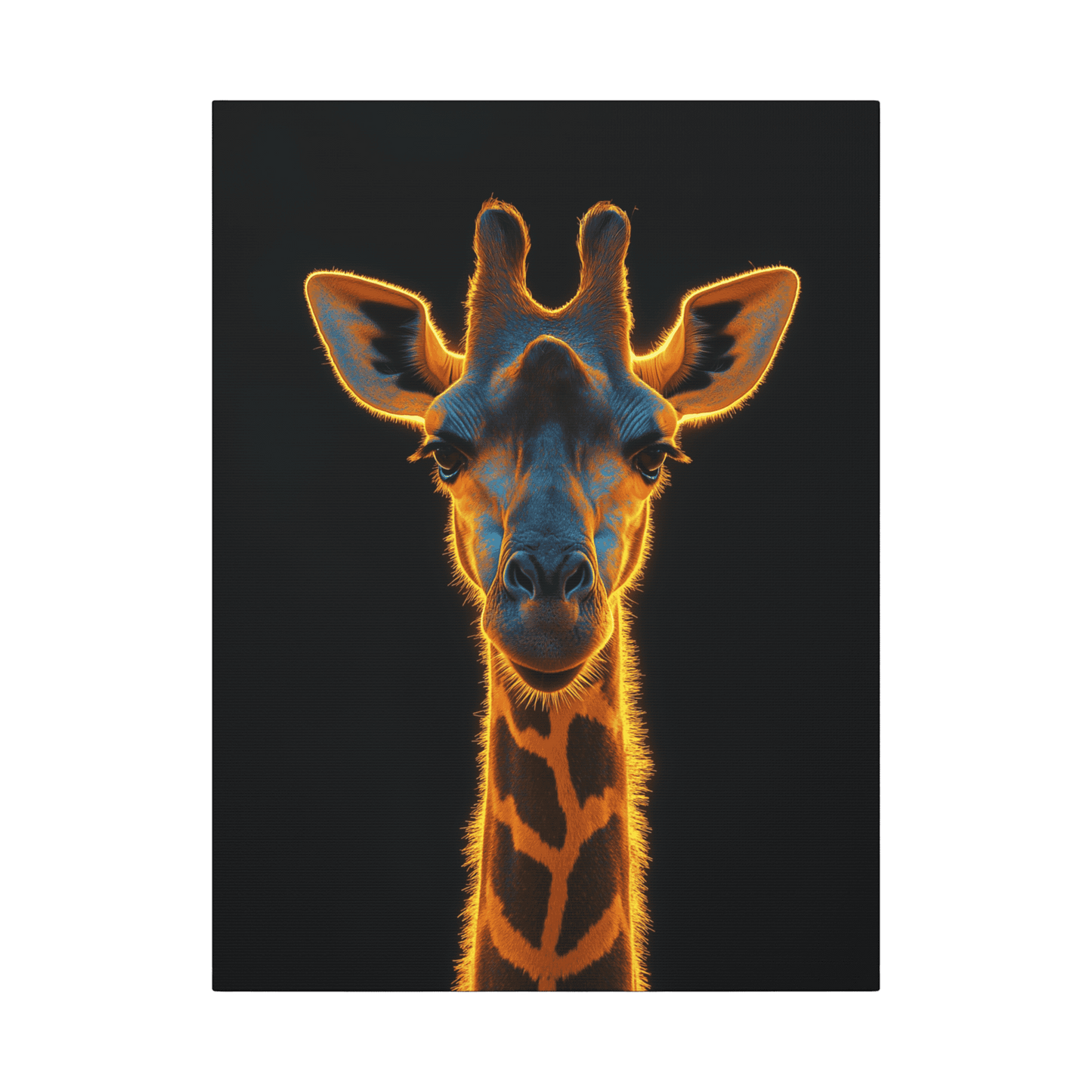 Safari - Giraffe