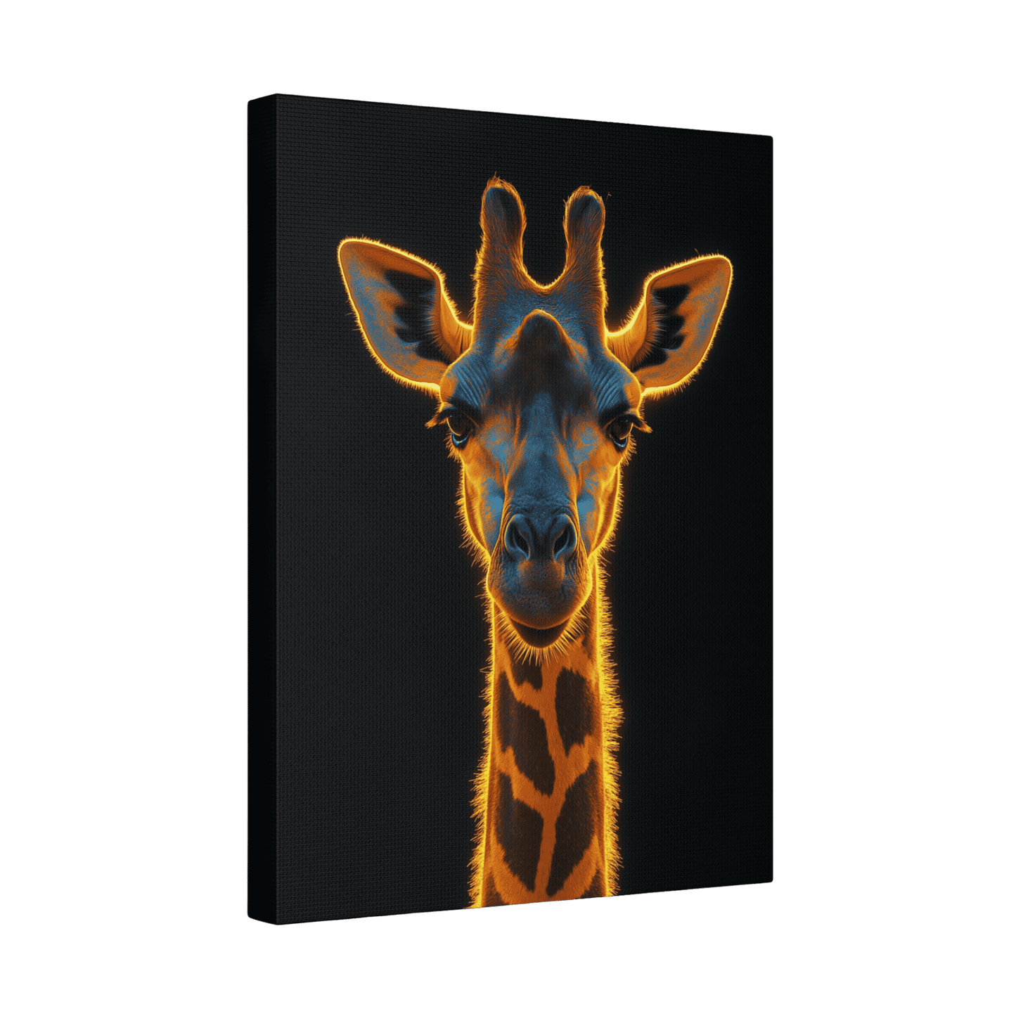 Safari - Giraffe