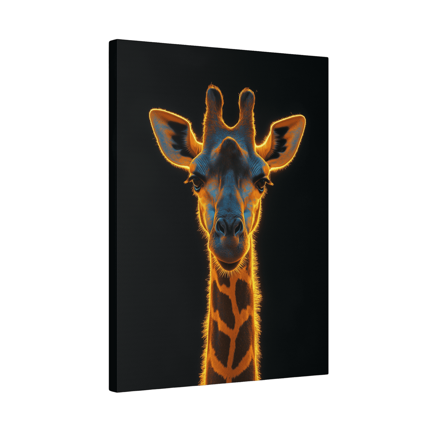 Safari - Giraffe