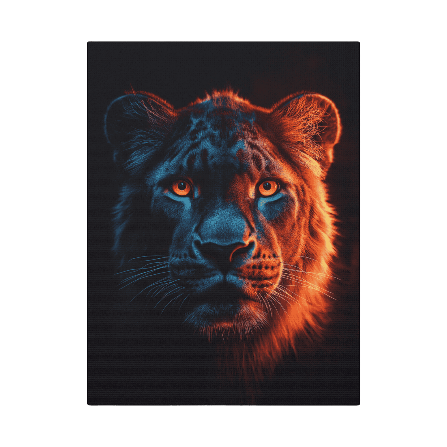 Safari - Leopard