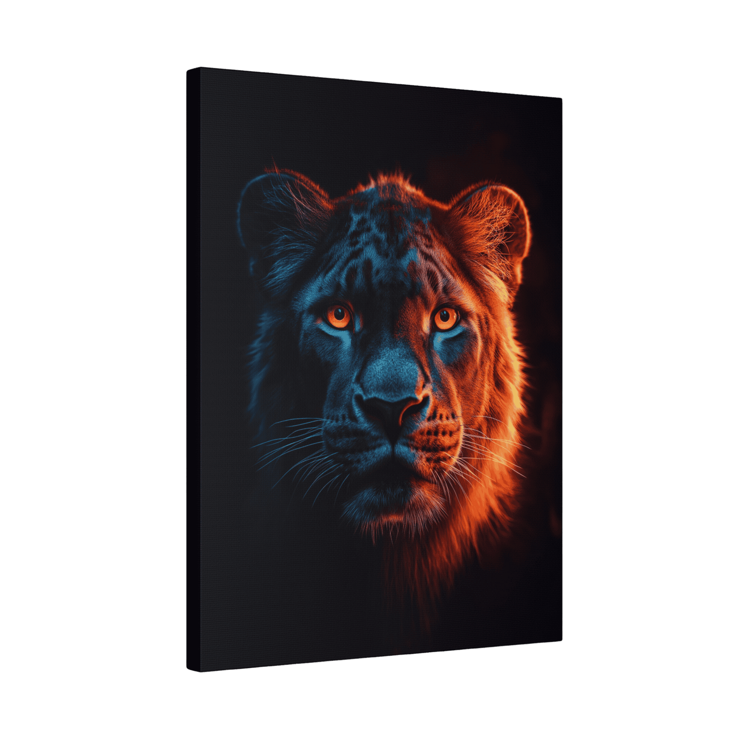 Safari - Leopard