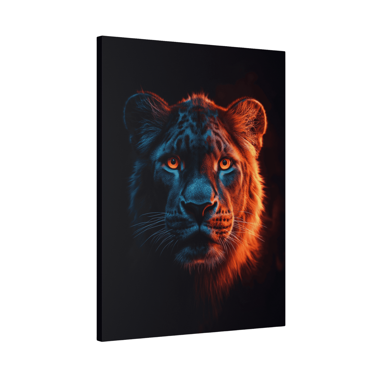 Safari - Leopard