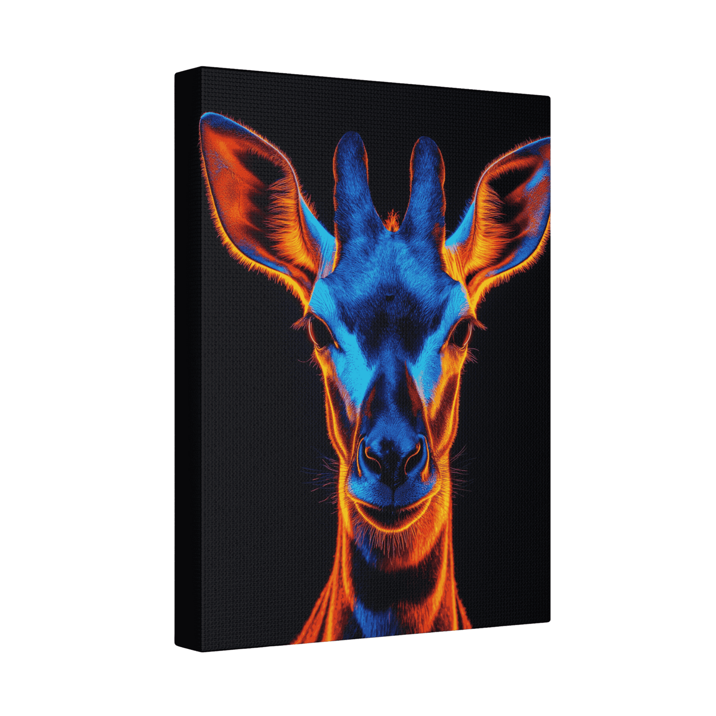 Safari - Okapi