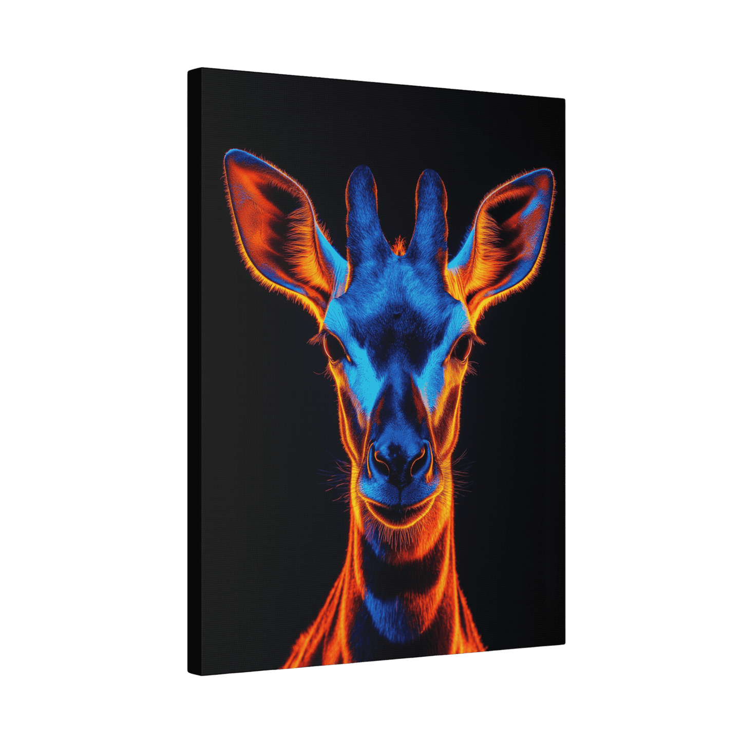 Safari - Okapi
