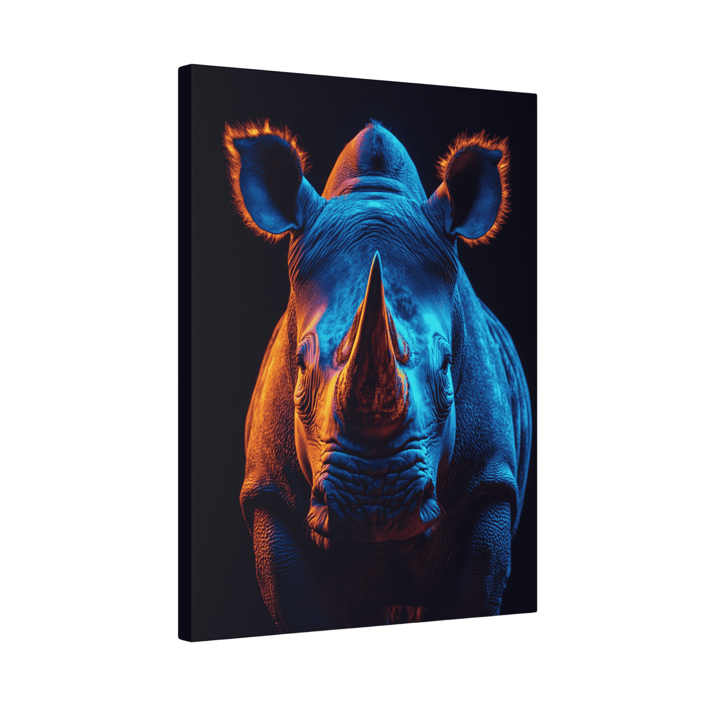 Safari - Rhino