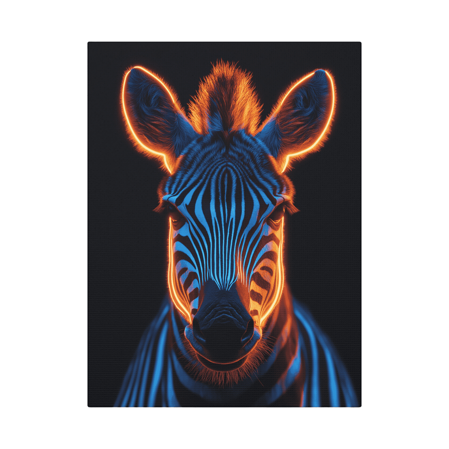 Safari - Zebra