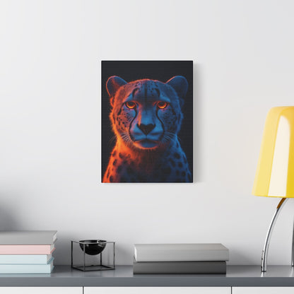 Safari - Cheetah