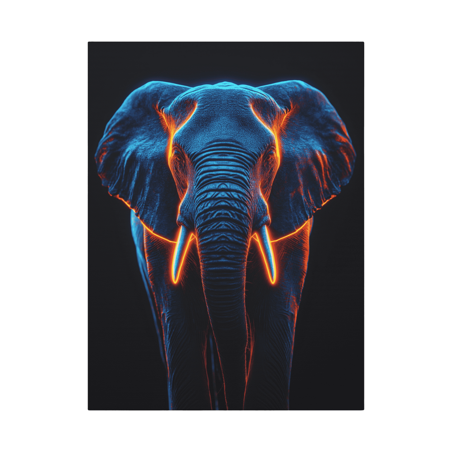 Safari - African Elephant