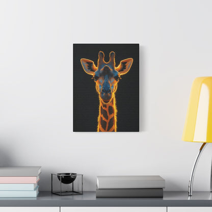 Safari - Giraffe