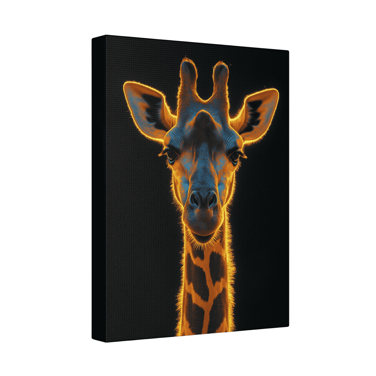 Safari - Giraffe