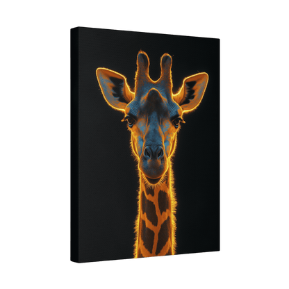 Safari - Giraffe