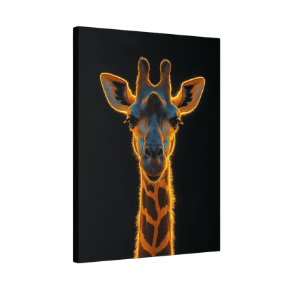 Safari - Giraffe