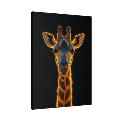 Safari - Giraffe