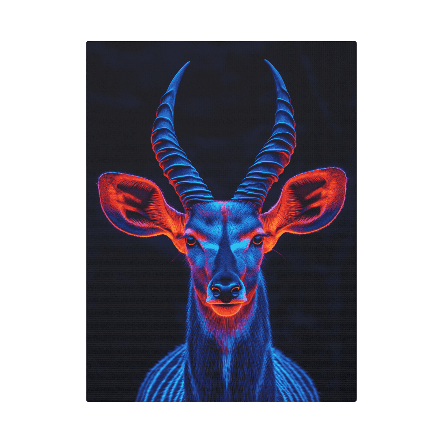 Safari - Kudu