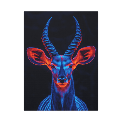 Safari - Kudu