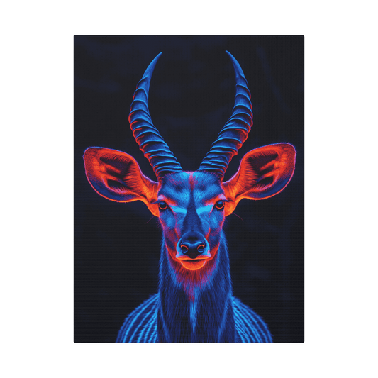 Safari - Kudu