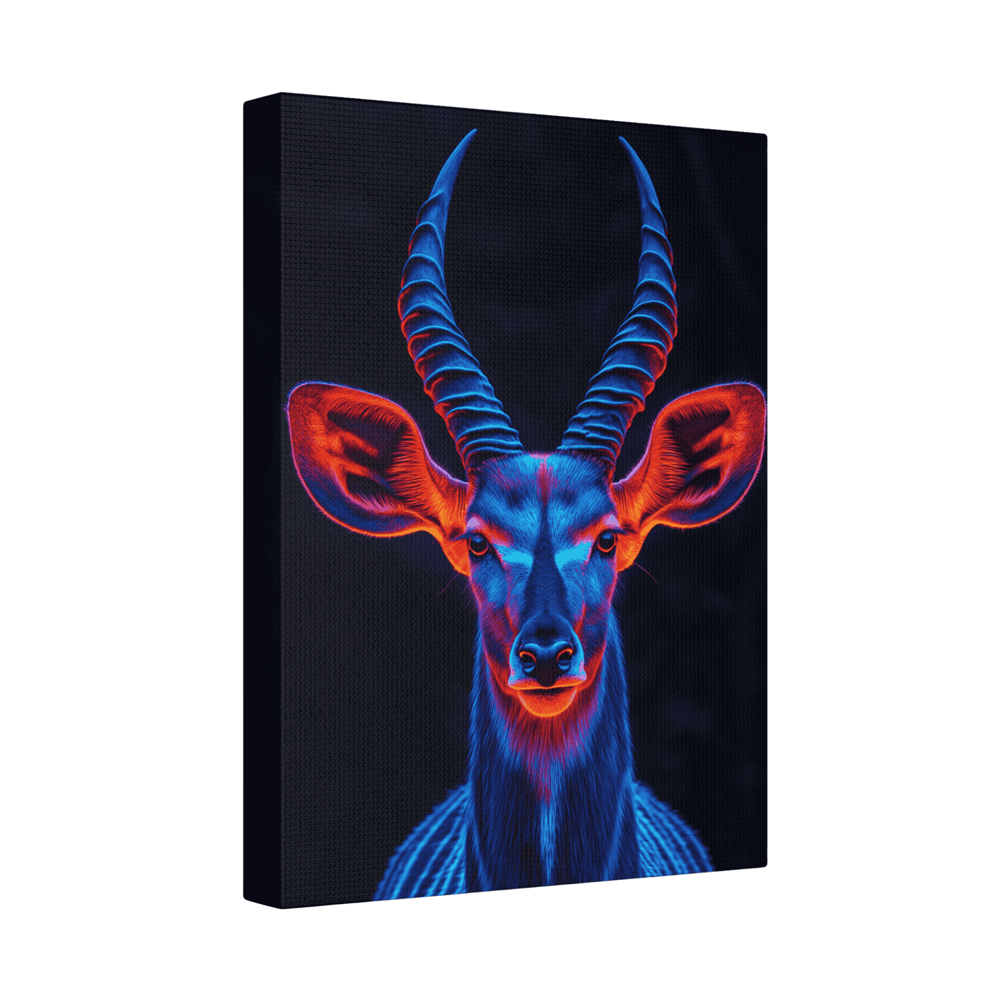 Safari - Kudu