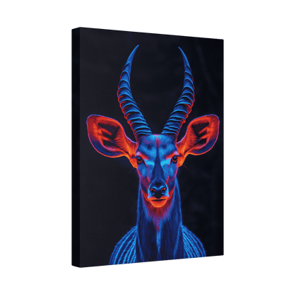 Safari - Kudu