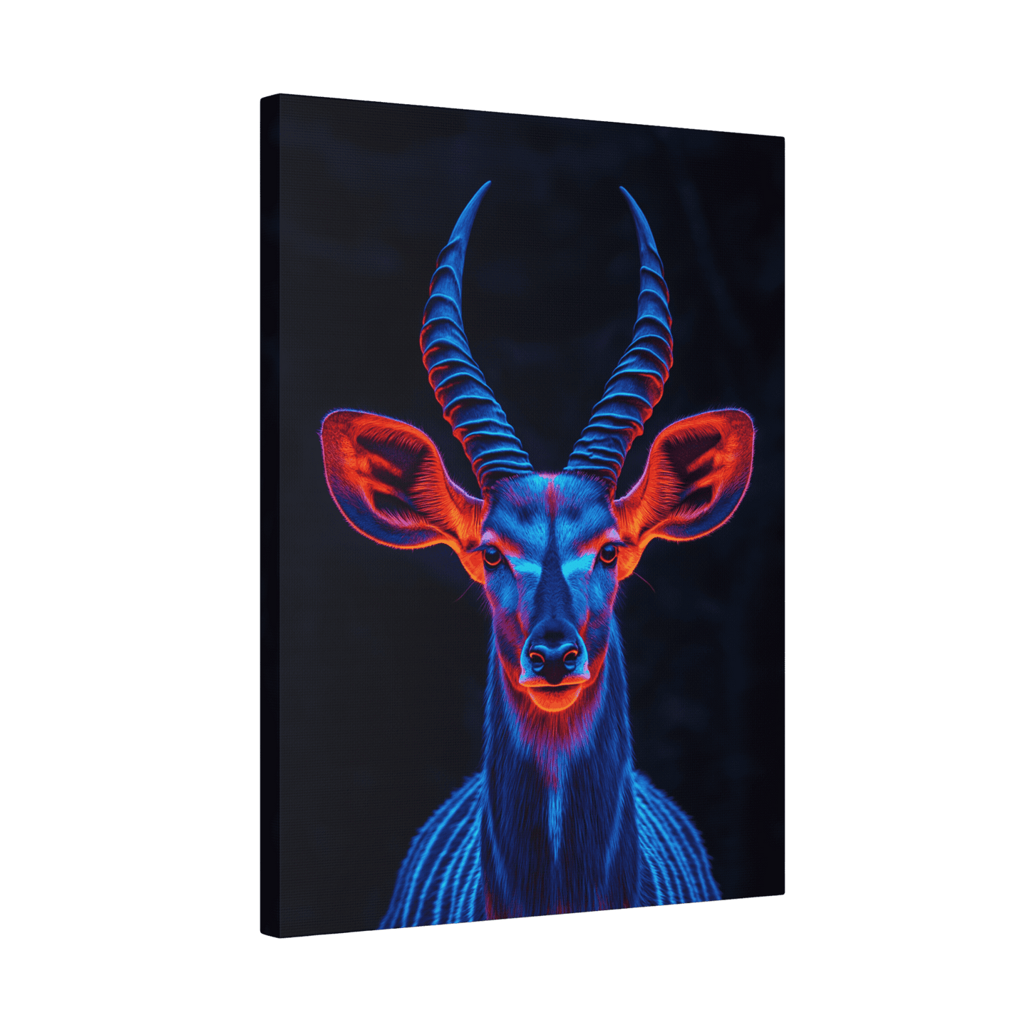 Safari - Kudu