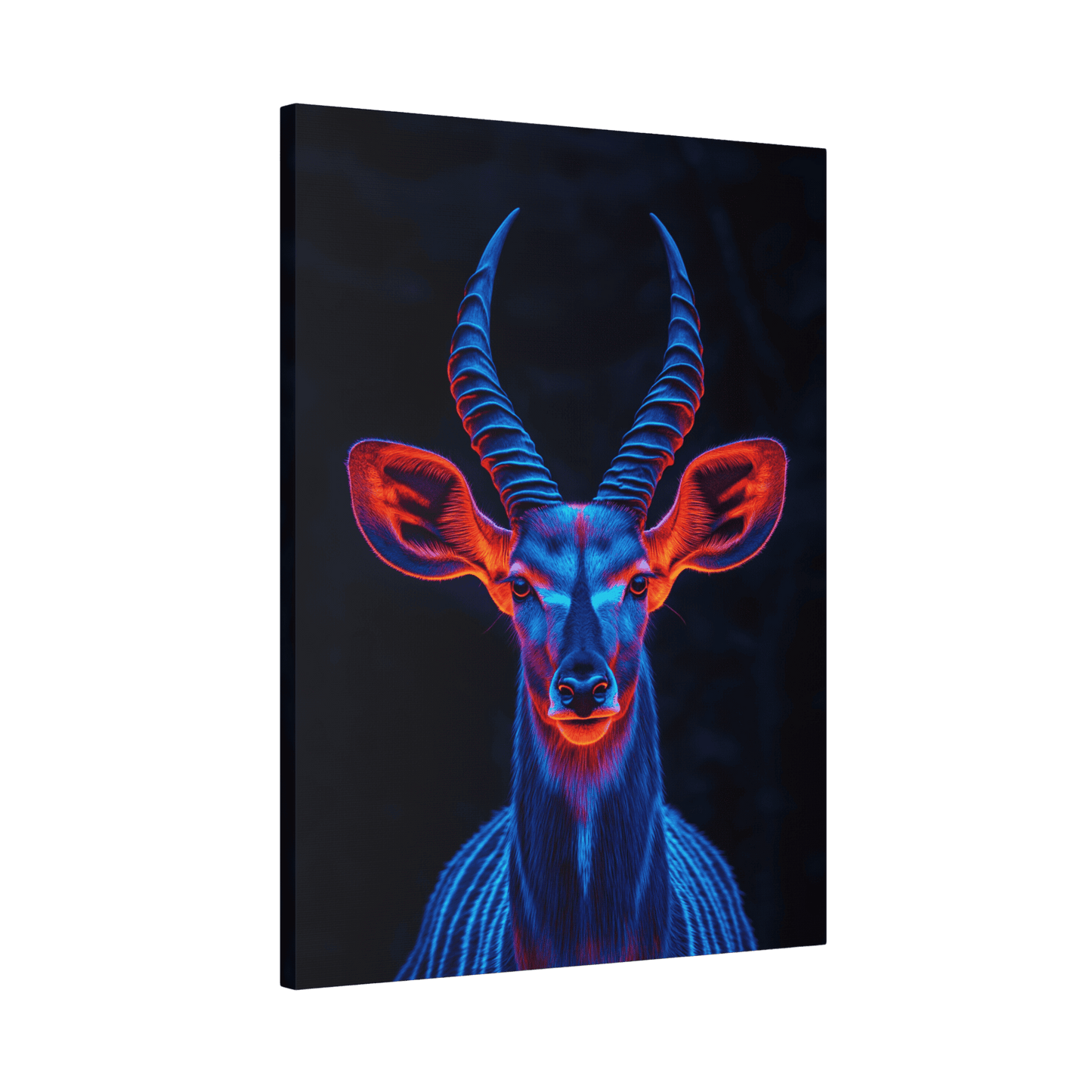 Safari - Kudu