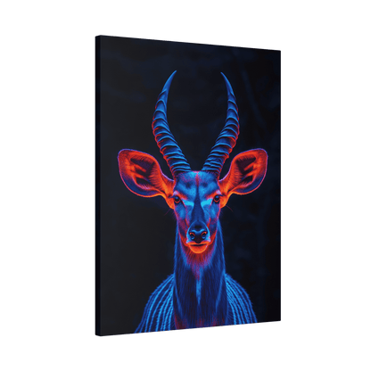 Safari - Kudu