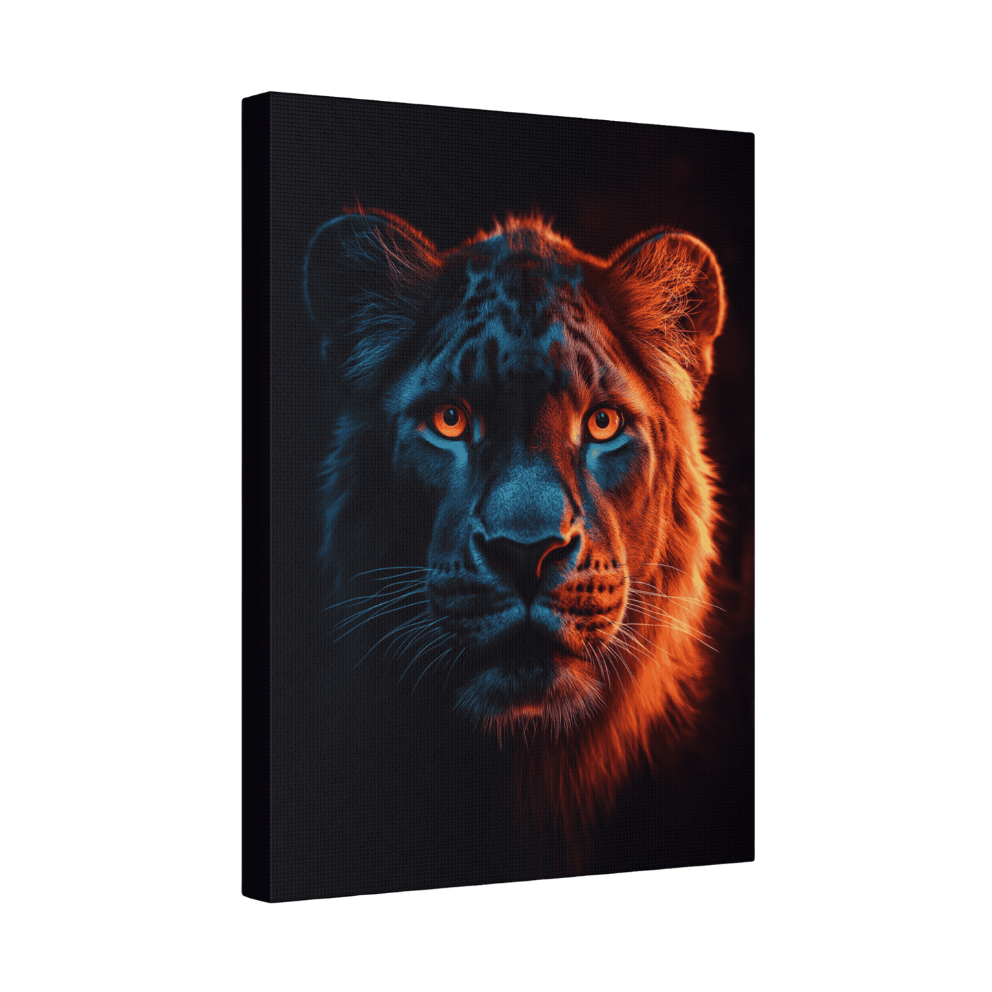 Safari - Leopard