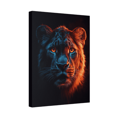 Safari - Leopard