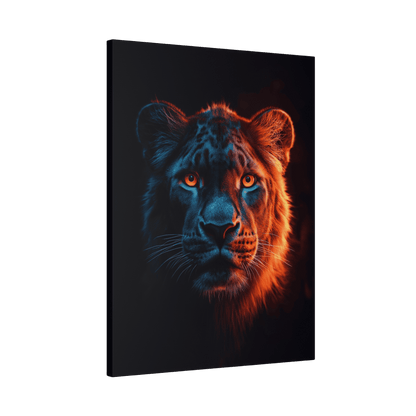 Safari - Leopard