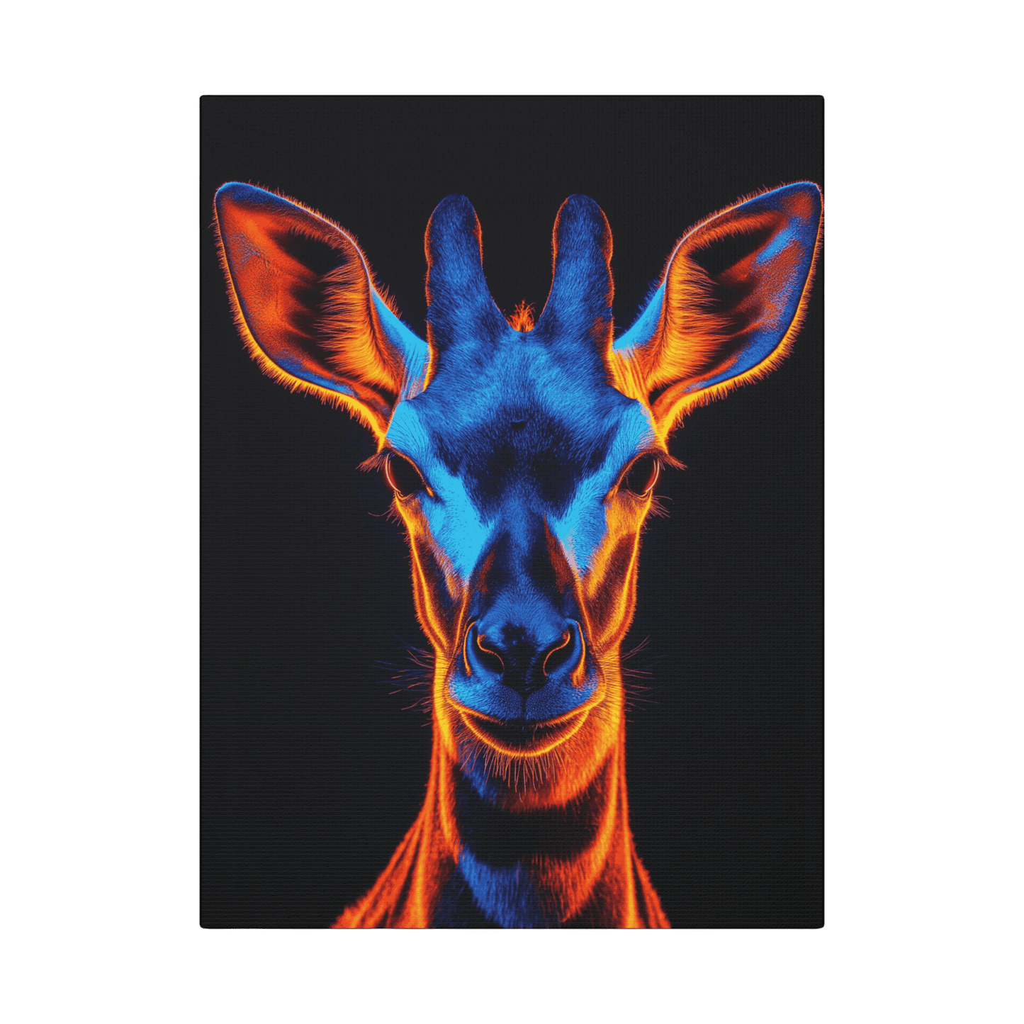 Safari - Okapi