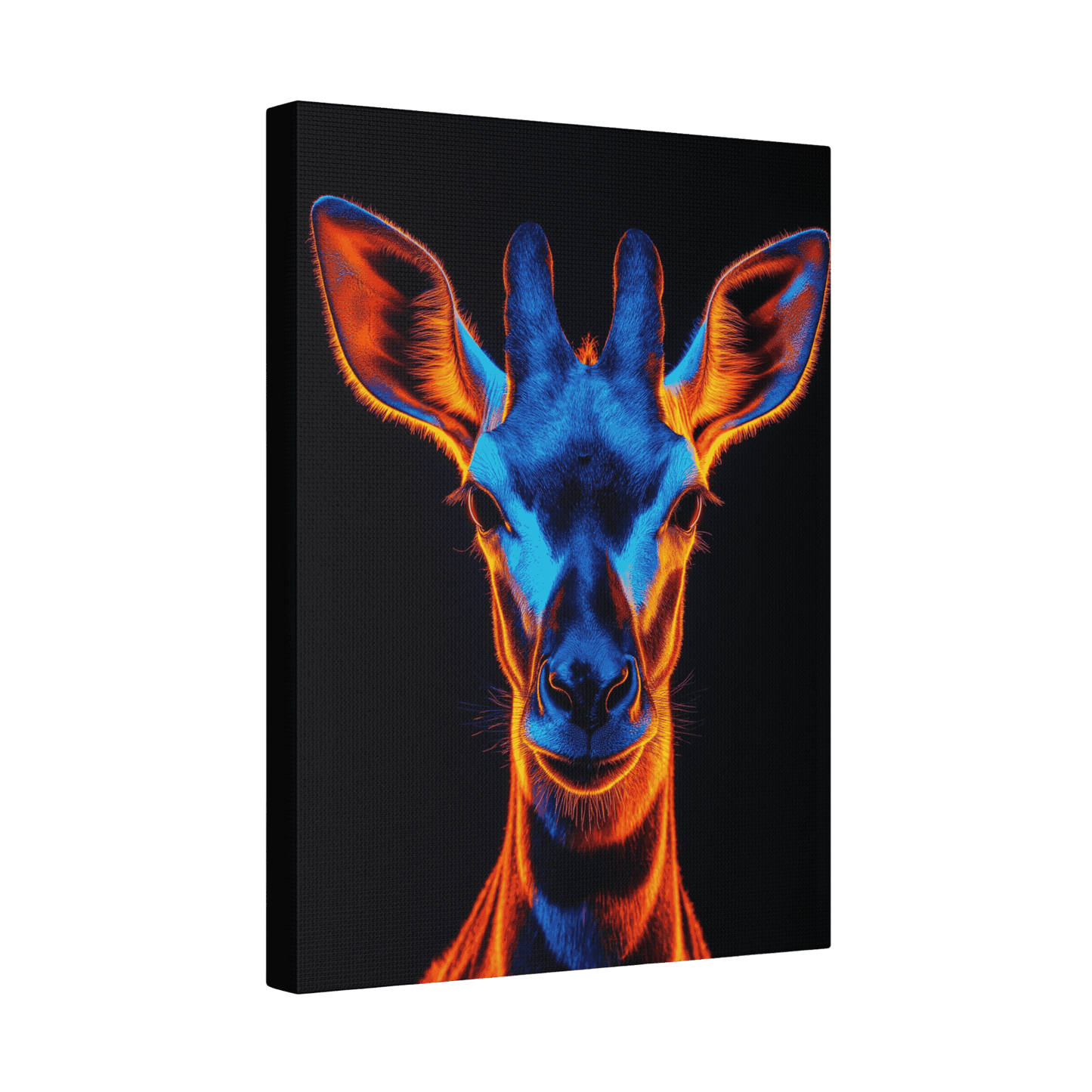 Safari - Okapi