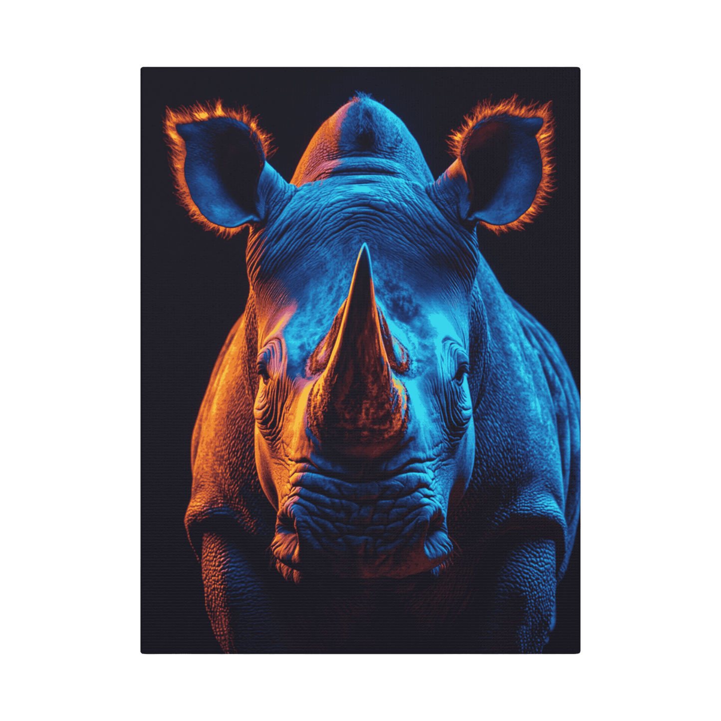 Safari - Rhino