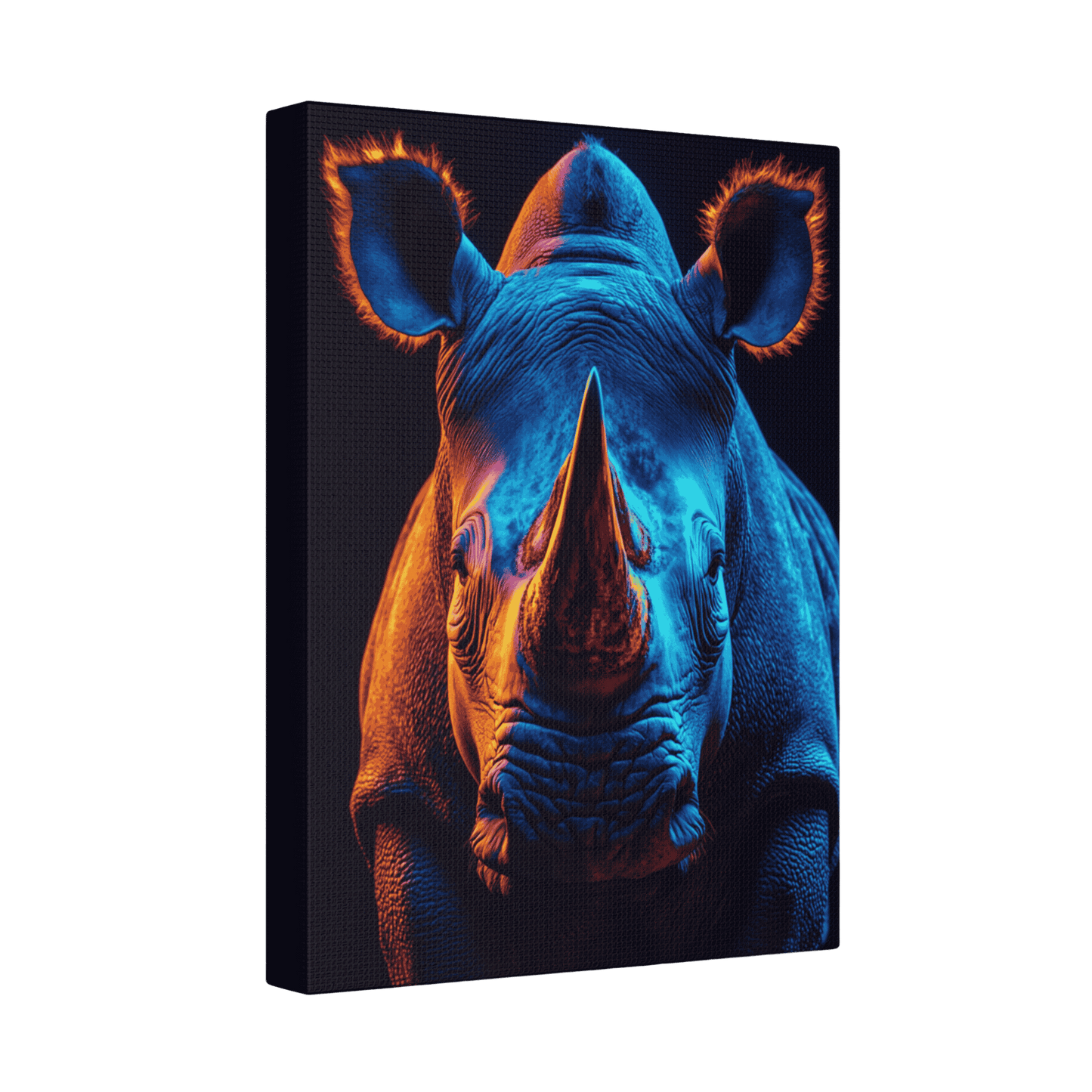 Safari - Rhino