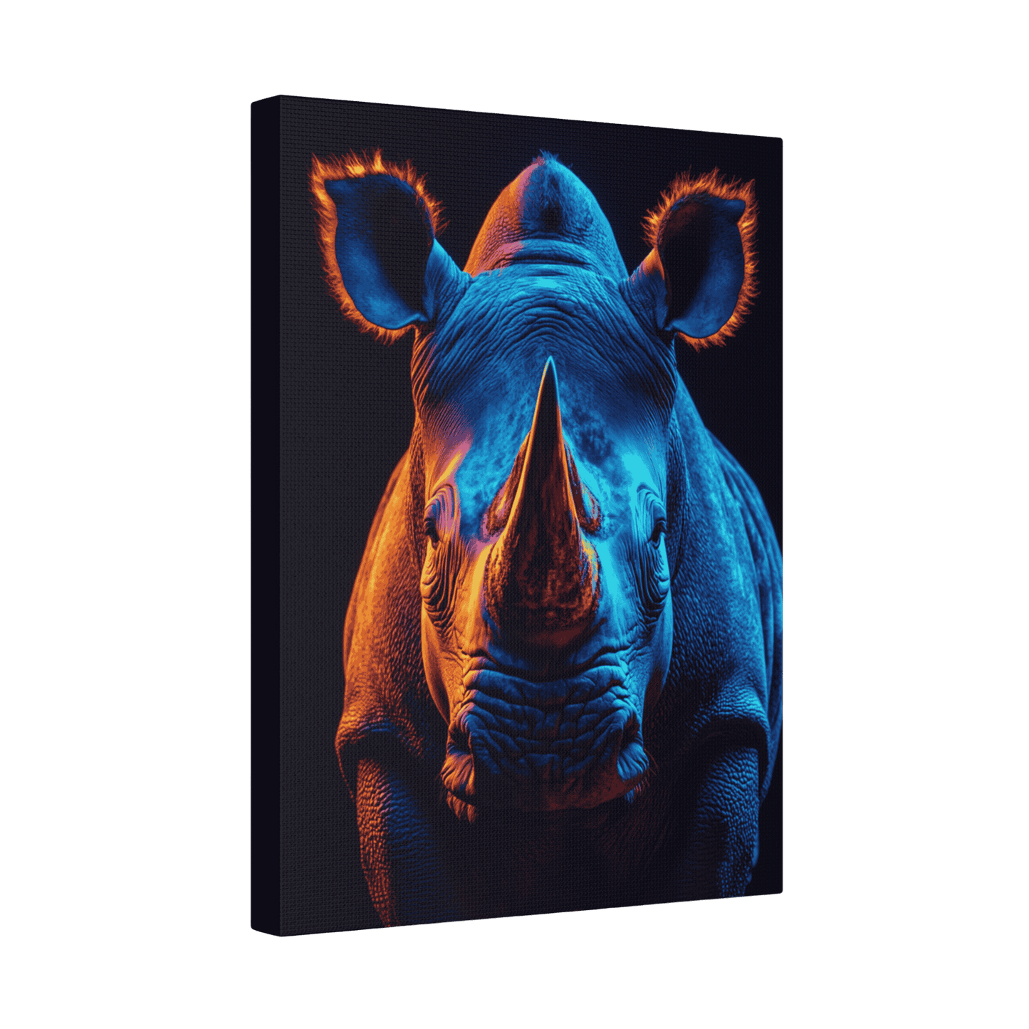 Safari - Rhino