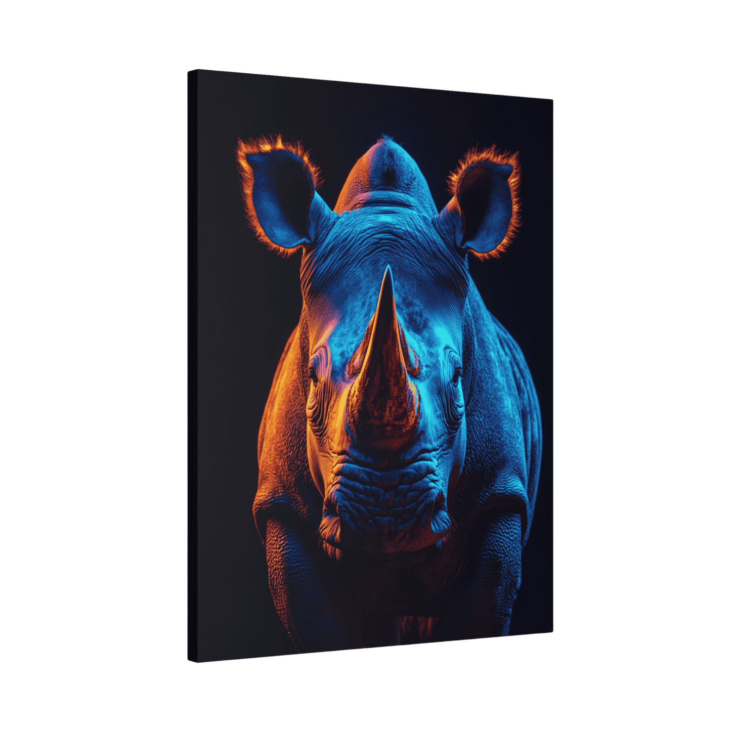 Safari - Rhino