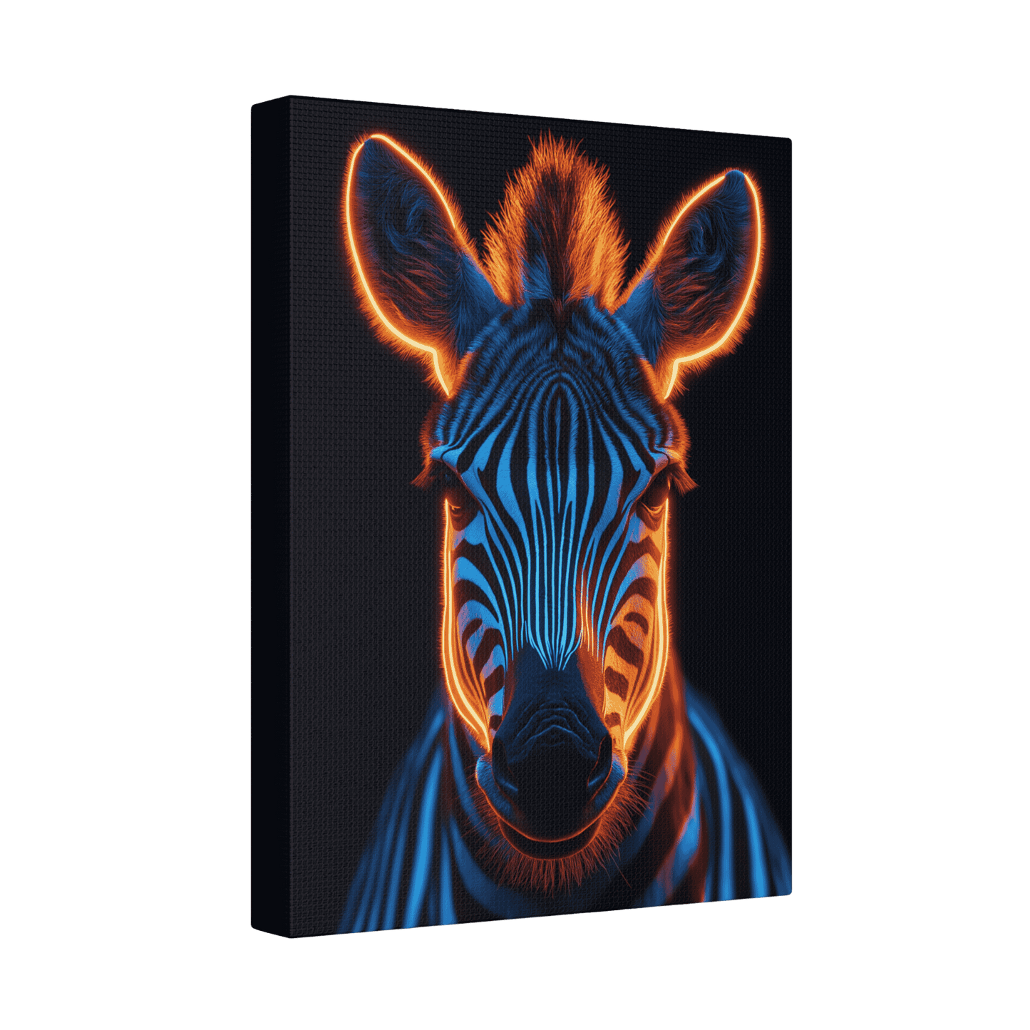 Safari - Zebra