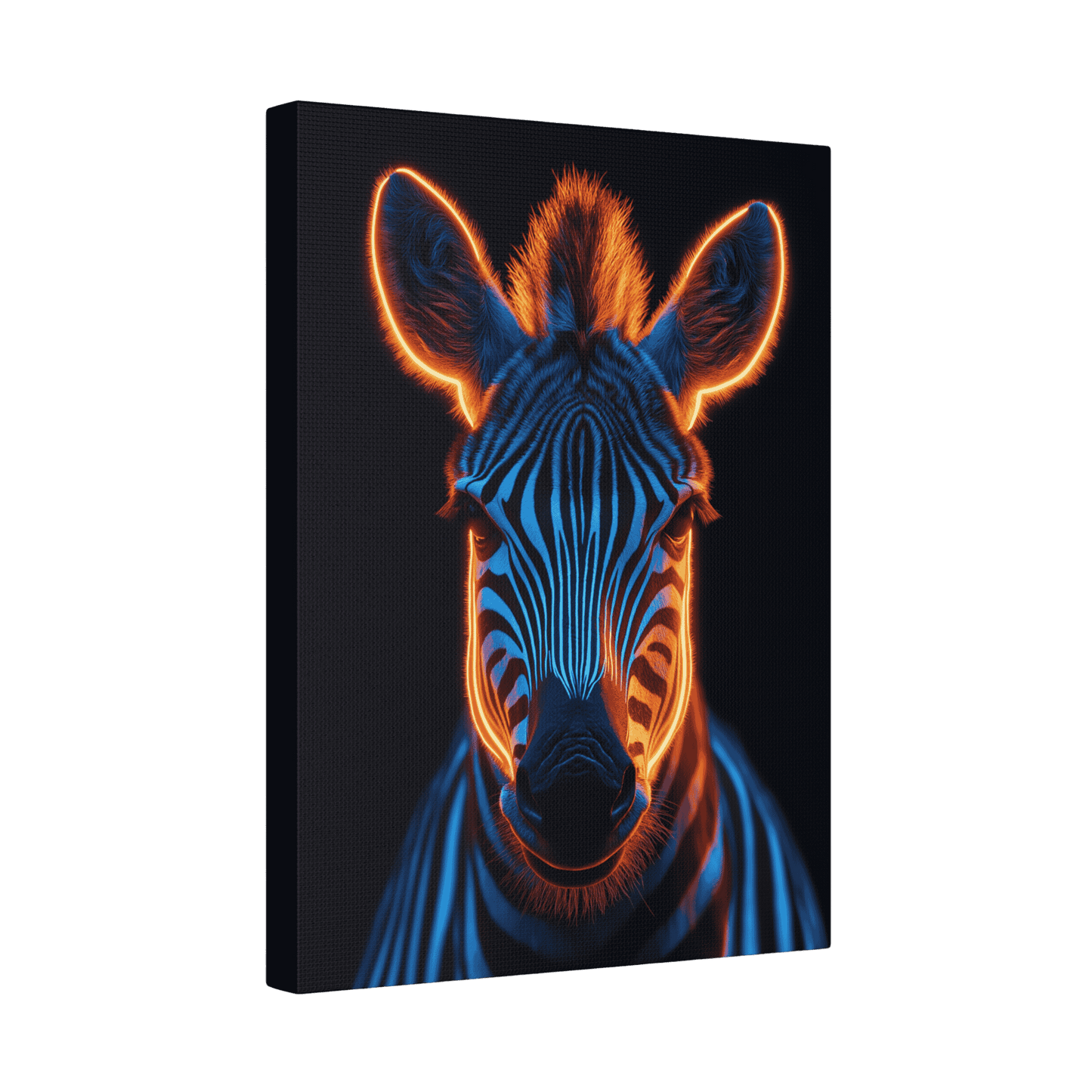 Safari - Zebra