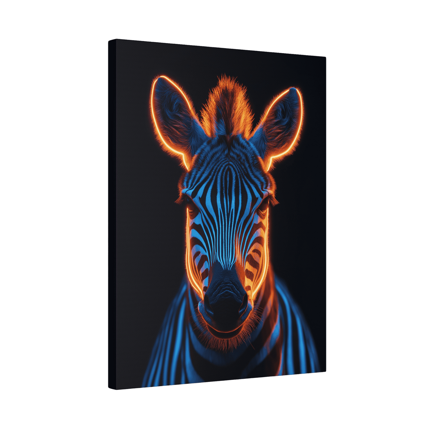 Safari - Zebra