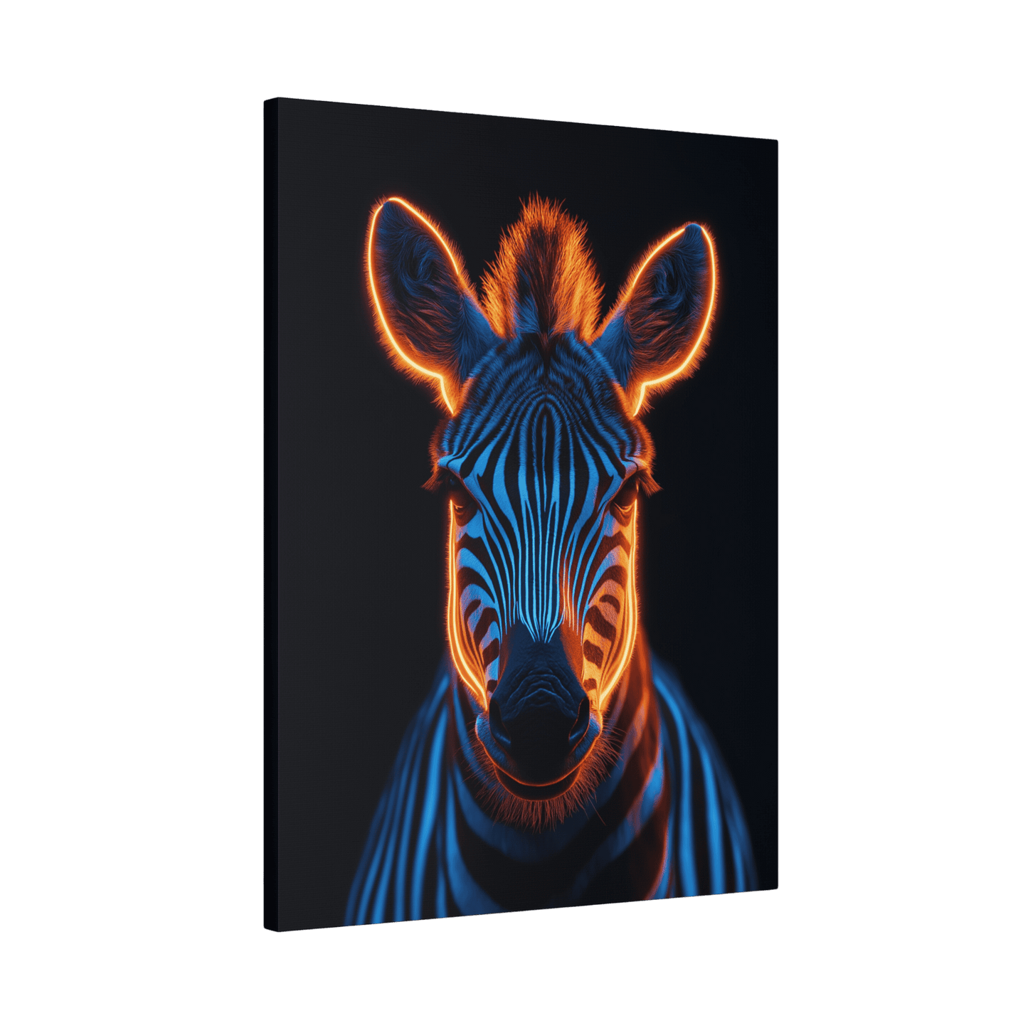 Safari - Zebra